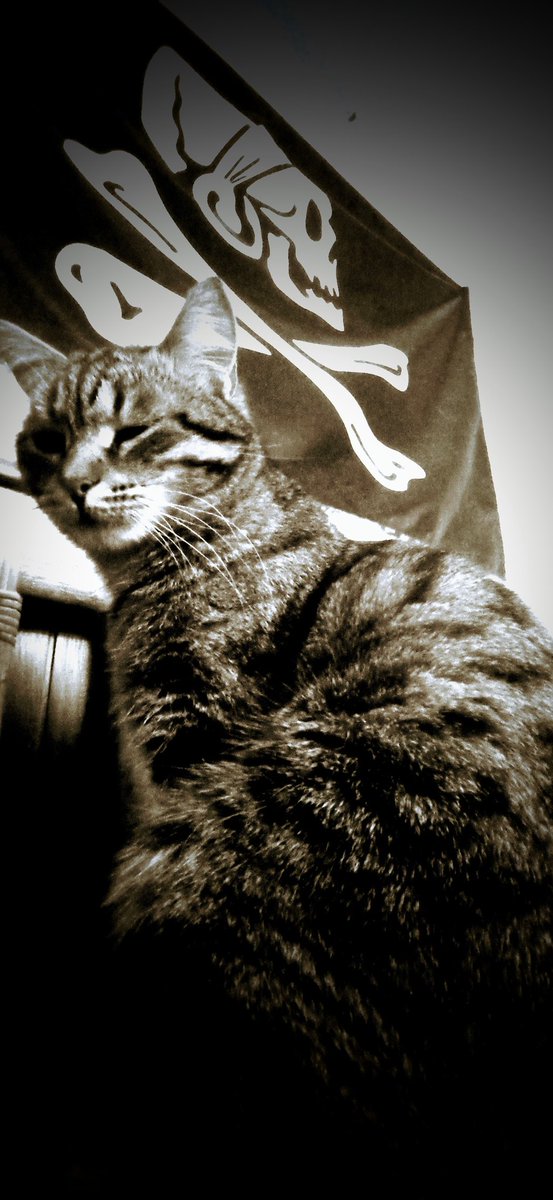 Long John Cyber 🏴‍☠️ tweet media