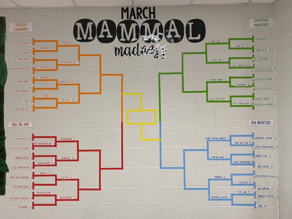 Mrs. Coach Whitmore tweet media