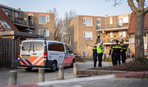 Gewonde bij steekpartij in De Hoek - ..
