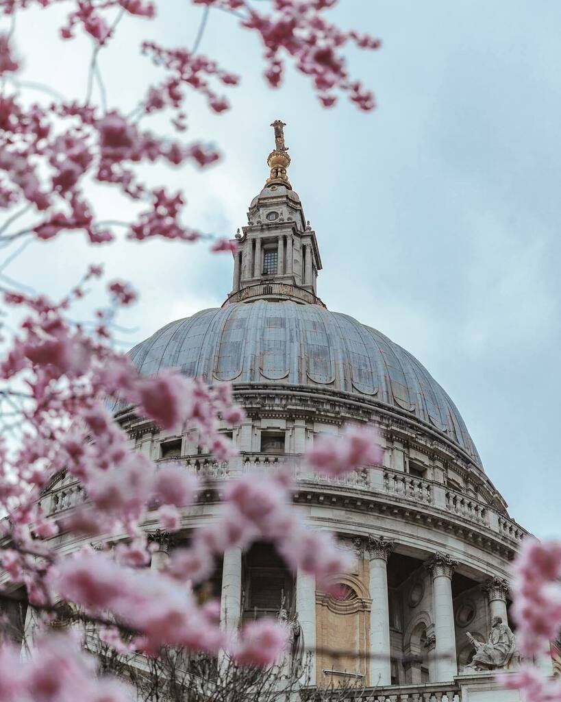 shotbychrisl's tweet photo. It's official Spring has sprung 🌸 London is dressed in pink and waiting to be explored 😎 let's go 📸 https://t.co/bK84QIxxev https://t.co/CnBUcrZ2dK