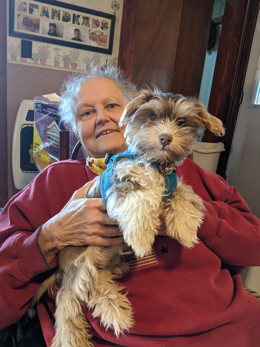 FenixPerrito's tweet image. The best thing about car rides is on the other end there are snuggles with Nana!