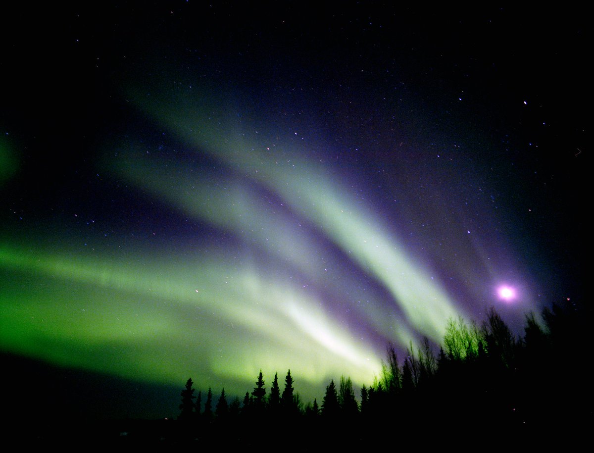 James Leder tweet media