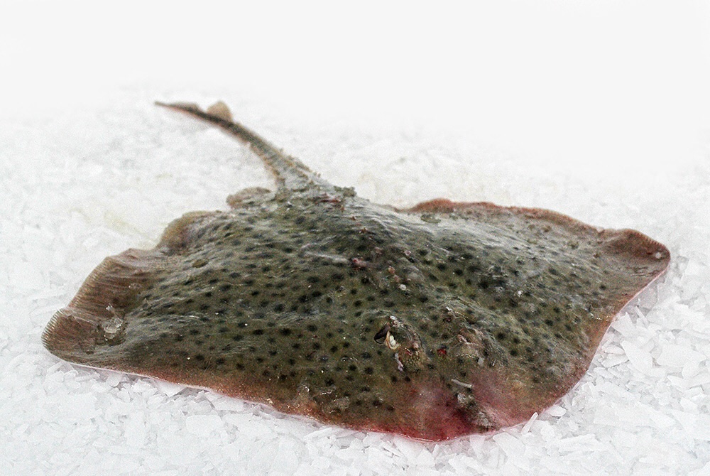 degalan's tweet image. Iedere week koop ik verse vis uit Urk. Ik kan het aanbevelen! Maar moet ik dat nog wel doen? Wat nou als die Urkers op m’n vis hoesten? Speel ik dan het potje Russisch #Corona Roulette mee?
Viroloog Koopmans: kerk op #Urk speelt 'Russische roulette' nos.nl/l/2373944