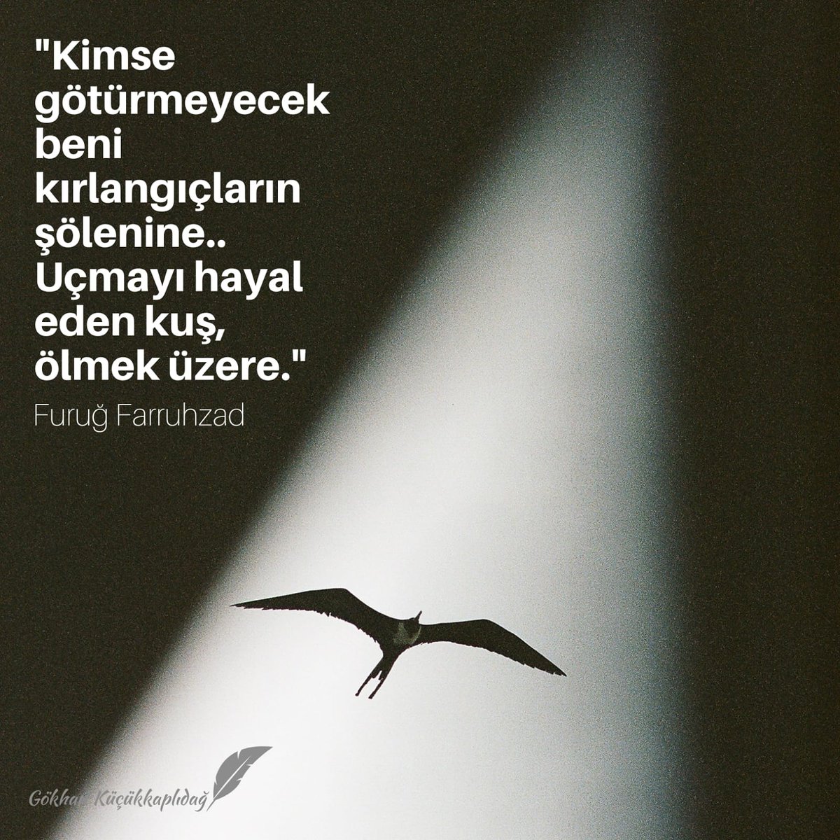 Gokhankaplidag's tweet photo. Kırlangıçlar Anadolu’nun farklı yerlerinde görülmeye leylekler de yuvalarını kurmaya başladı.
En sevdiğim mevsimlerden "Bahar"
#kırlangıç #leylek
#doğa #doğatakvimi #göçmevsimi #kuşlar #kuştakvimi #bahar #mevsim #göç #mevsimlerden #furuğferruhzad #şiirheryerde #şair #iran https://t.co/cUVU84mC9v