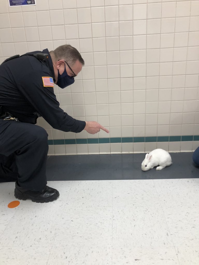 Jack was so excited from P.E. That he was running down the hall!  <a href="/BavisTerri/">Terri Bavis</a> Waterloo Wednesday! #prideinourtribe