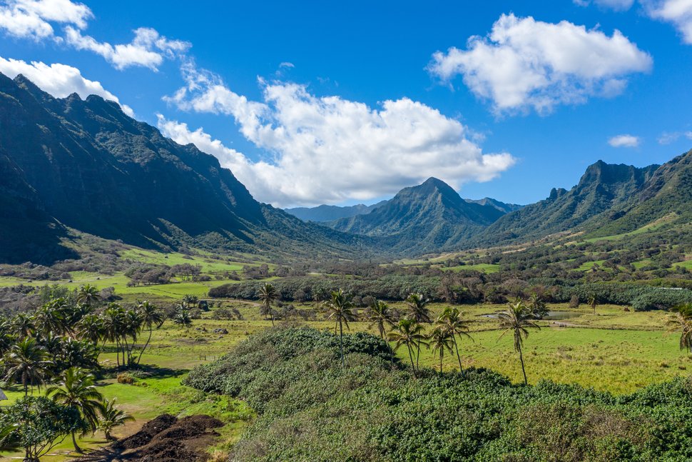 The Best Zip Lines on Oahu - <a href="/USNewsTravel/">U.S. News Travel</a> #travel #oahu #adventure #Hawaii #getoutdoors #zipline tinyurl.com/rm9yy7d7