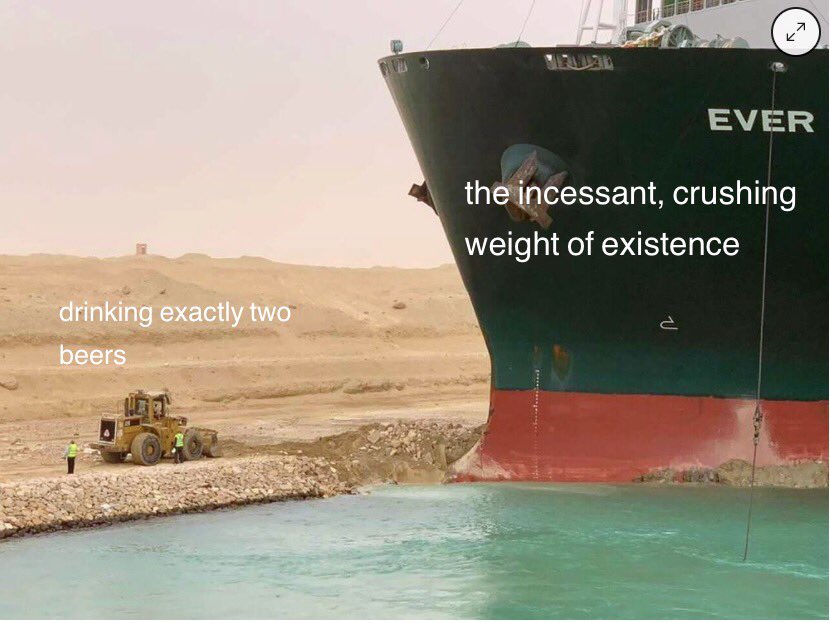 BrandyLJensen's tweet image. 