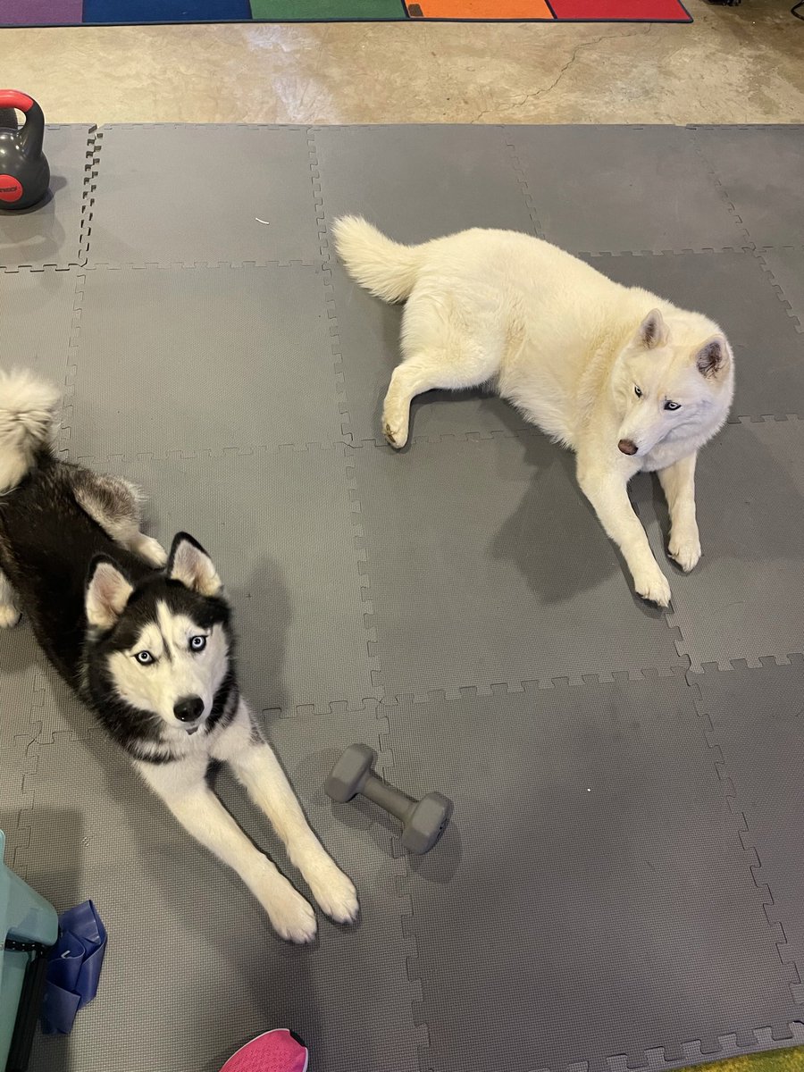 Amanda Medlock tweet media