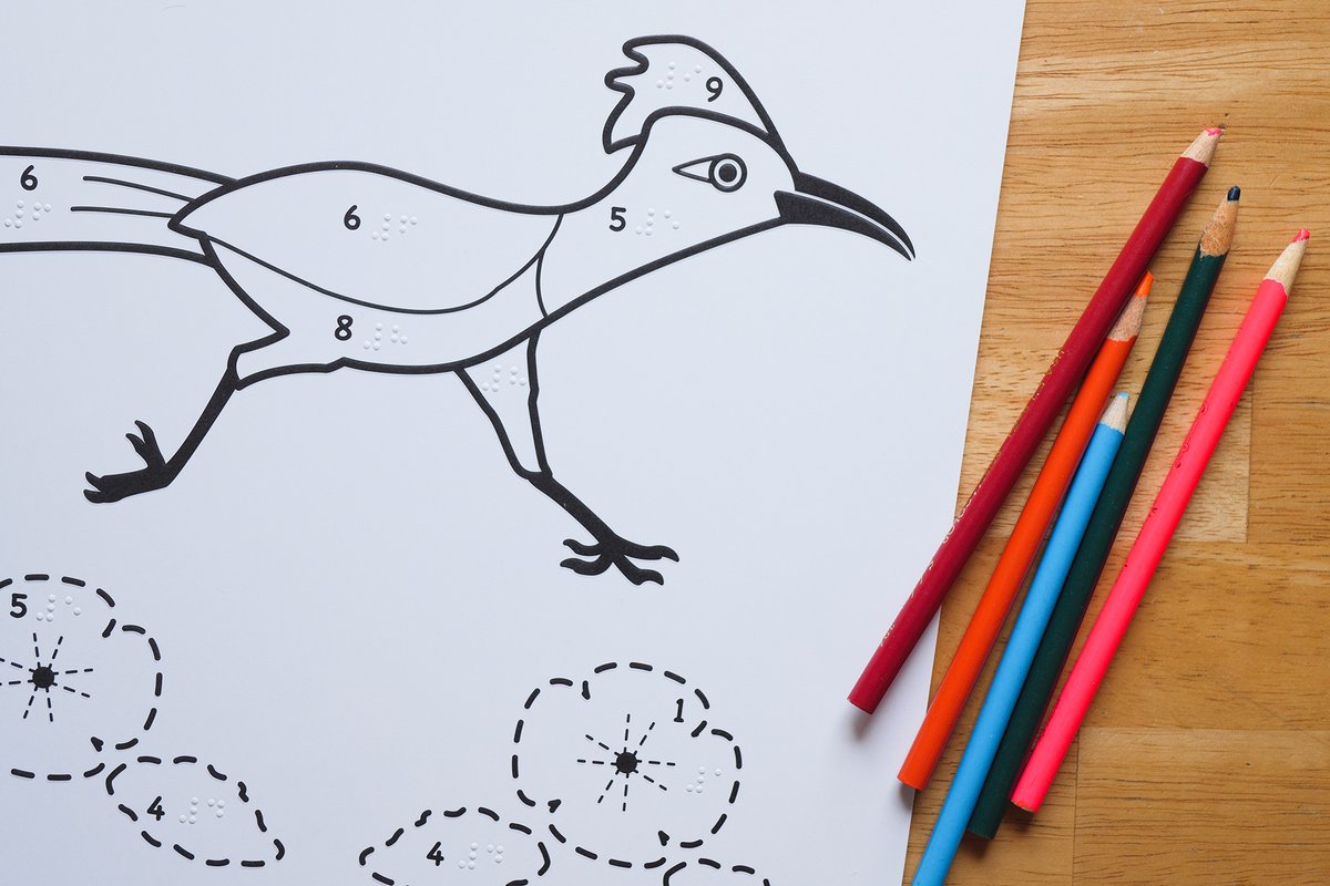 Walk across the sand &amp; feel the sun on your face when you dive into Desert Creatures, the newest addition to the Paint by Number Safari series! Real-world colors &amp; fun facts are introduced to young artists as they color in raised-line drawings: bit.ly/3ccPWib