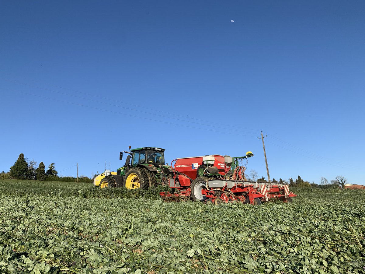 JonahHeymann's tweet photo. Un de mes moments préféré de l’année : les semis de @nataispopcorn dans les couverts @GreenTillageFr - conditions au top. @HORSCH_France @JohnDeere #agriculturedeconservation #stockthecarbon #agroecologie https://t.co/yZiVYWaGzO