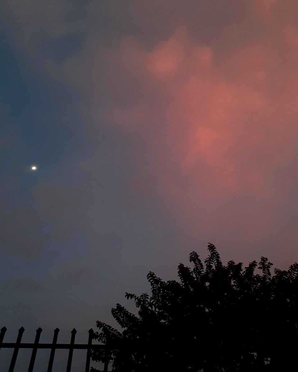 KeiNGV's tweet photo. Adoro cuando los crepúsculos se visten de color rosa en mi pueblo. 
#NotFilterNeeded 
#SurDelLago https://t.co/YEOVDnWRwG