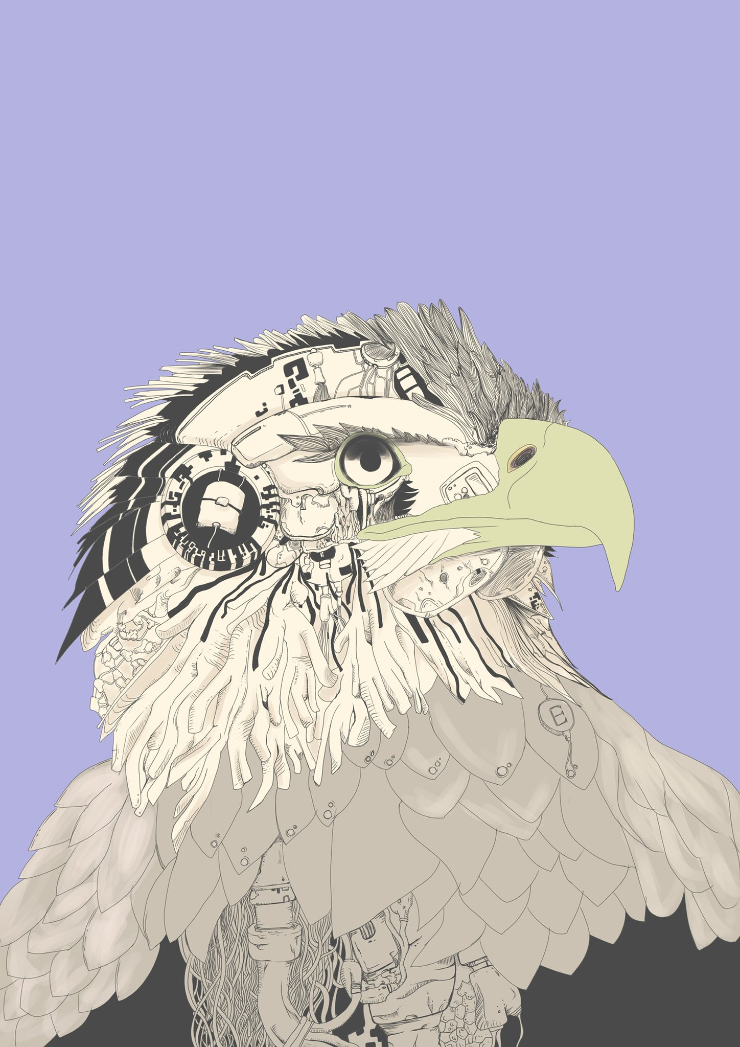 小豆 きの メカ デジタルイラスト 動物イラスト 鳥 鷲 ベタ塗り入れる場所決めるの難しい T Co F1eqn0it2q Twitter