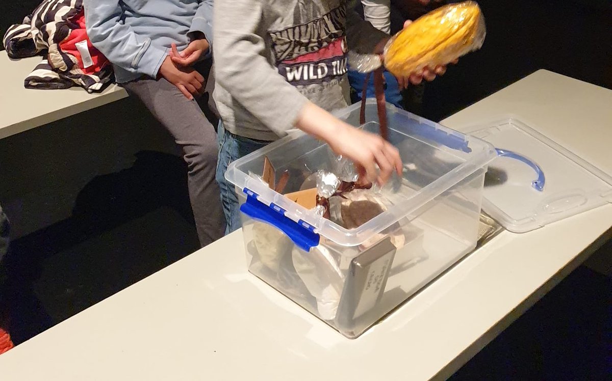 EscolaGiralt's tweet image. Els mitjans i els petits han començat la setmana cultural amb una sortida!! 

Els més petits han anat a la @Lagranjaescola  i els mitjans a la fàbrica de xocolata de @simoncoll_ 

Han gaudit moltíssim d’aquesta experiència!!