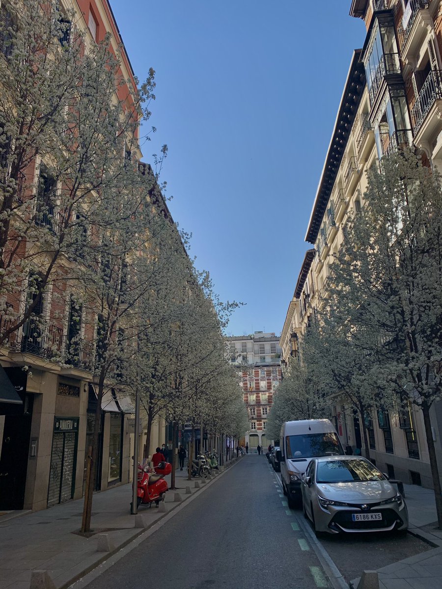 ValeRomeroVi's tweet photo. Cada día más... 😍🧡 https://t.co/rjAHAU5UAv