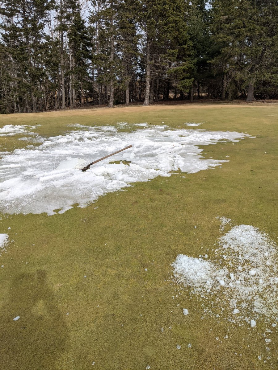 Beautiful stretch of weather! Nice dormant colors and getting impatient and helping some ice melt!#Northumberland