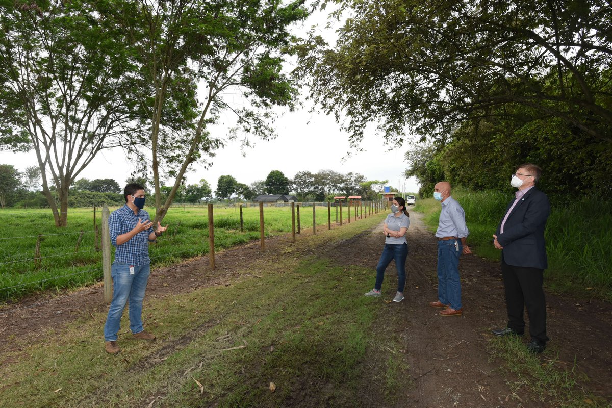 BiovIntCIAT_esp's tweet photo. El Programa de Forrajes Tropicales comparte con la representación de @FAO_Colombia el trabajo de investigación en sistemas silvopastoriles y el monitoreo remoto de los animales encaminado hacia una producción más sostenible, de la mano del proyecto de @NewtonFund #CoForLife https://t.co/iHEZNuW6Nv