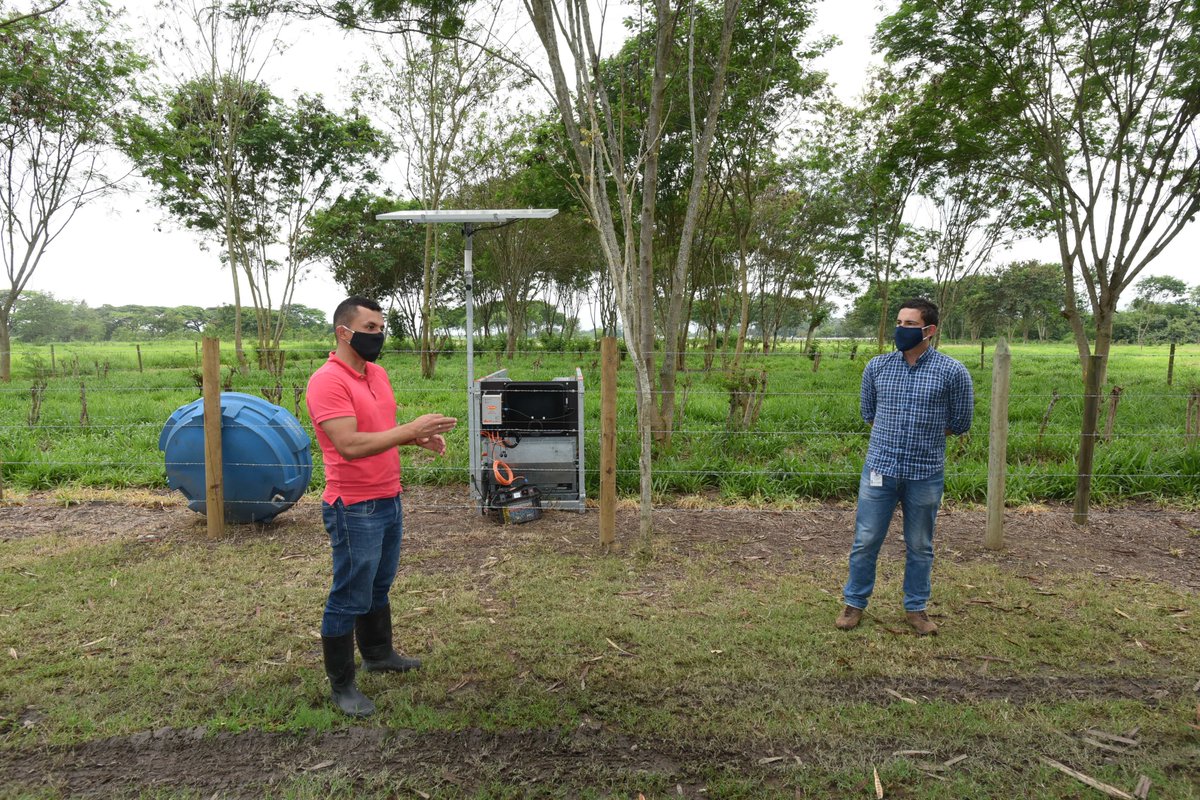 BiovIntCIAT_esp's tweet photo. El Programa de Forrajes Tropicales comparte con la representación de @FAO_Colombia el trabajo de investigación en sistemas silvopastoriles y el monitoreo remoto de los animales encaminado hacia una producción más sostenible, de la mano del proyecto de @NewtonFund #CoForLife https://t.co/iHEZNuW6Nv