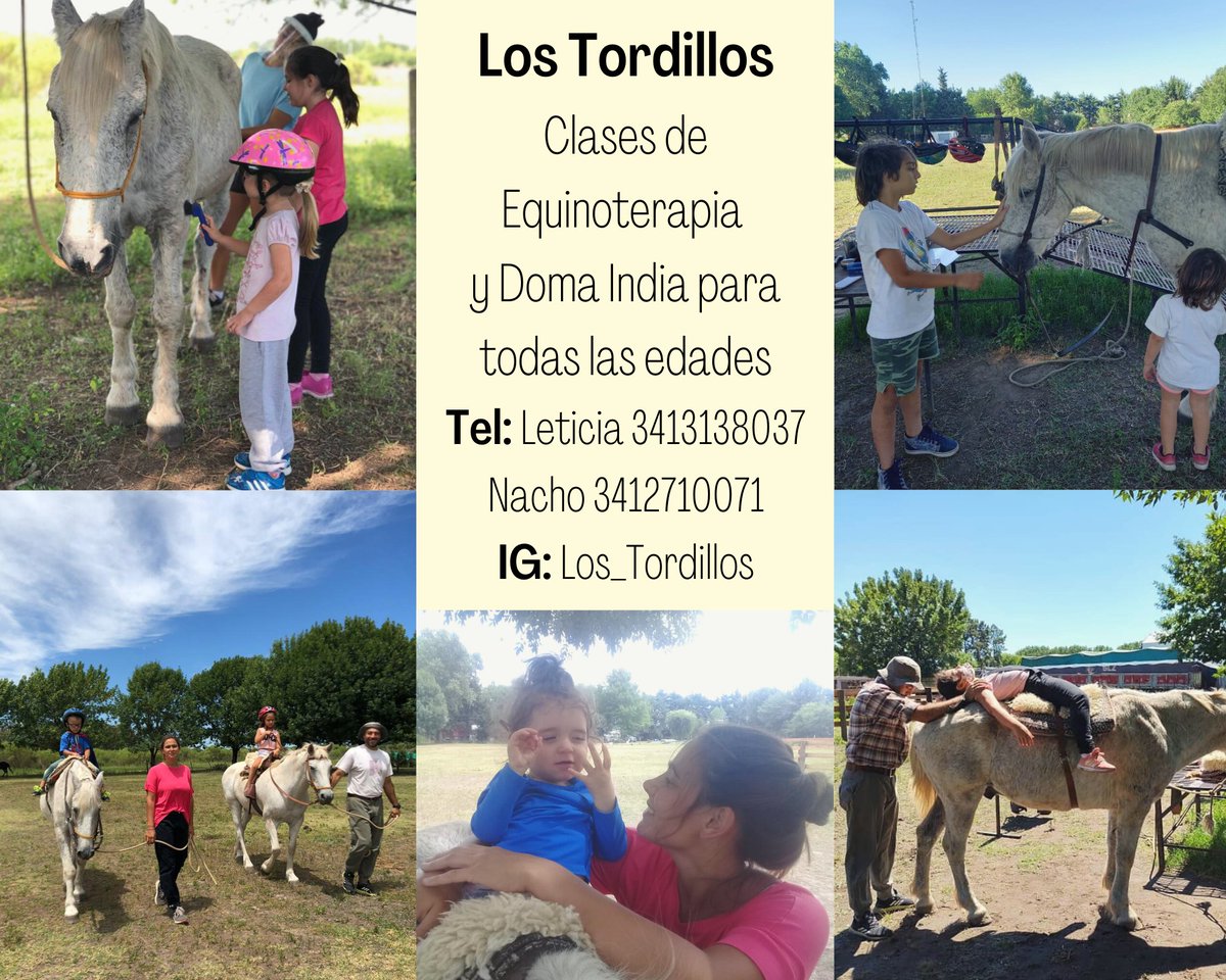 Leti muñiz tweet media