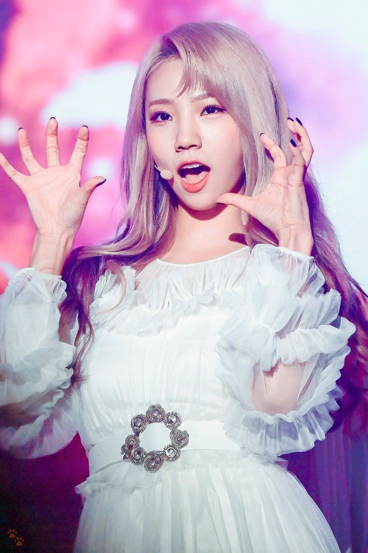 jiepaqwp tweet media