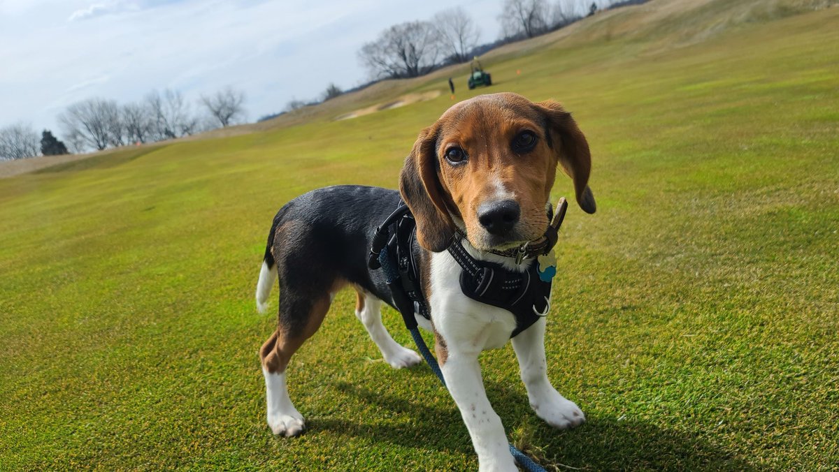 I'm a day late I guess but still gonna show my little man some love! He might have to make another trip out to the course again soon! #valhallagolfclub #valhalla <a href="/ValhallaGolf/">ValhallaGolf</a>