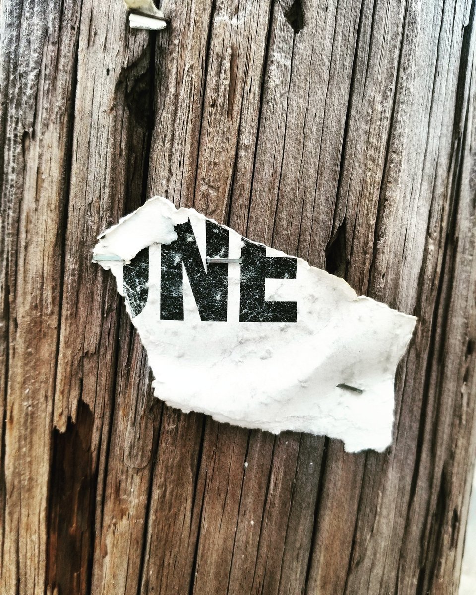 Remnants of a torn paper sign with only the letters N and E visible stapled to a splintered telephone pole.