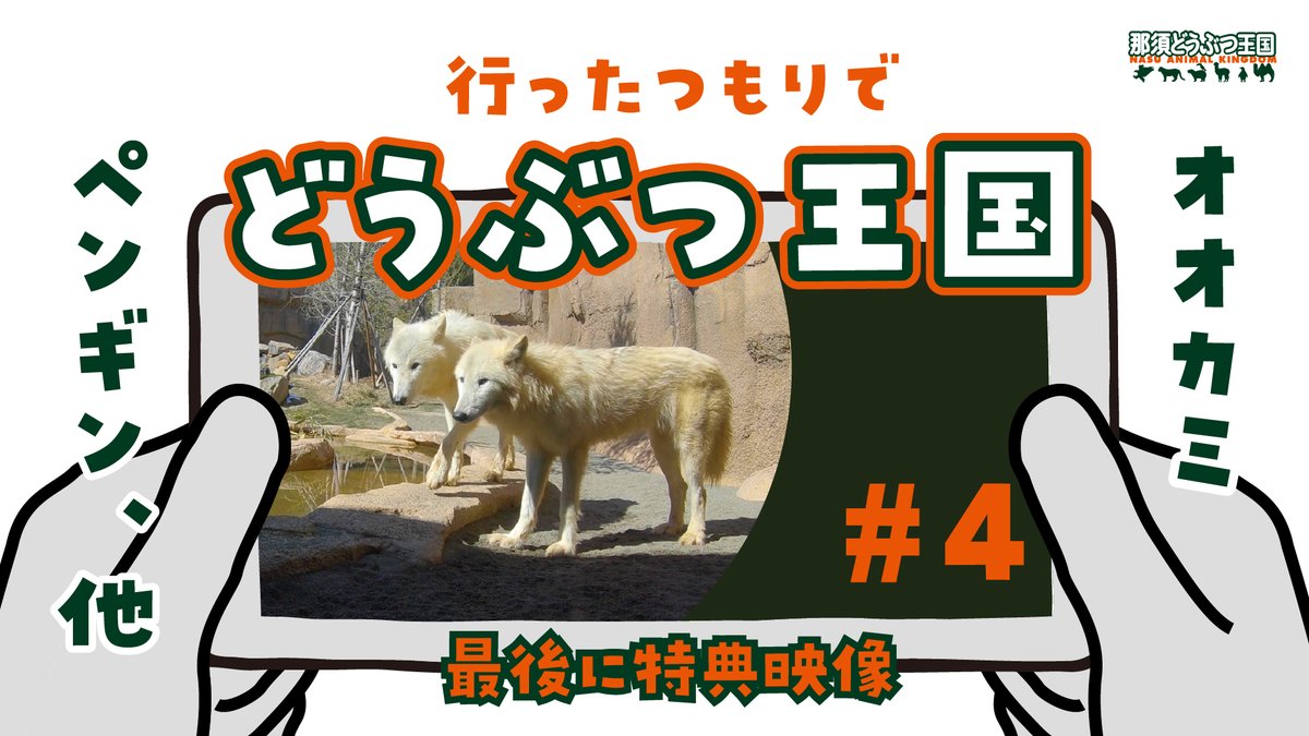 nasu animal kingdom tweet media