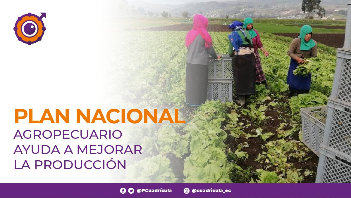 PCuadricula's tweet photo. EL PLAN NACIONAL AGROPECUARIO AYUDA A MEJORAR LA PRODUCCIÓN.

Nota: https://t.co/xf7JSCdbJS
.
.
¡Síguenos en nuestras redes para más contenido!
.
.
#ecuador #cuadricula #pandemia #FAO #productores #chile #alimentosnaturales https://t.co/5A7gFvd7Eh