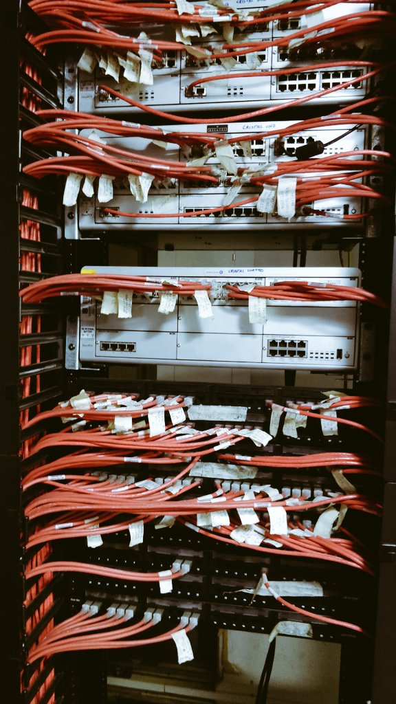 DonBogotano's tweet photo. #PornTech #DataFuckU https://t.co/aVrq8oftUt