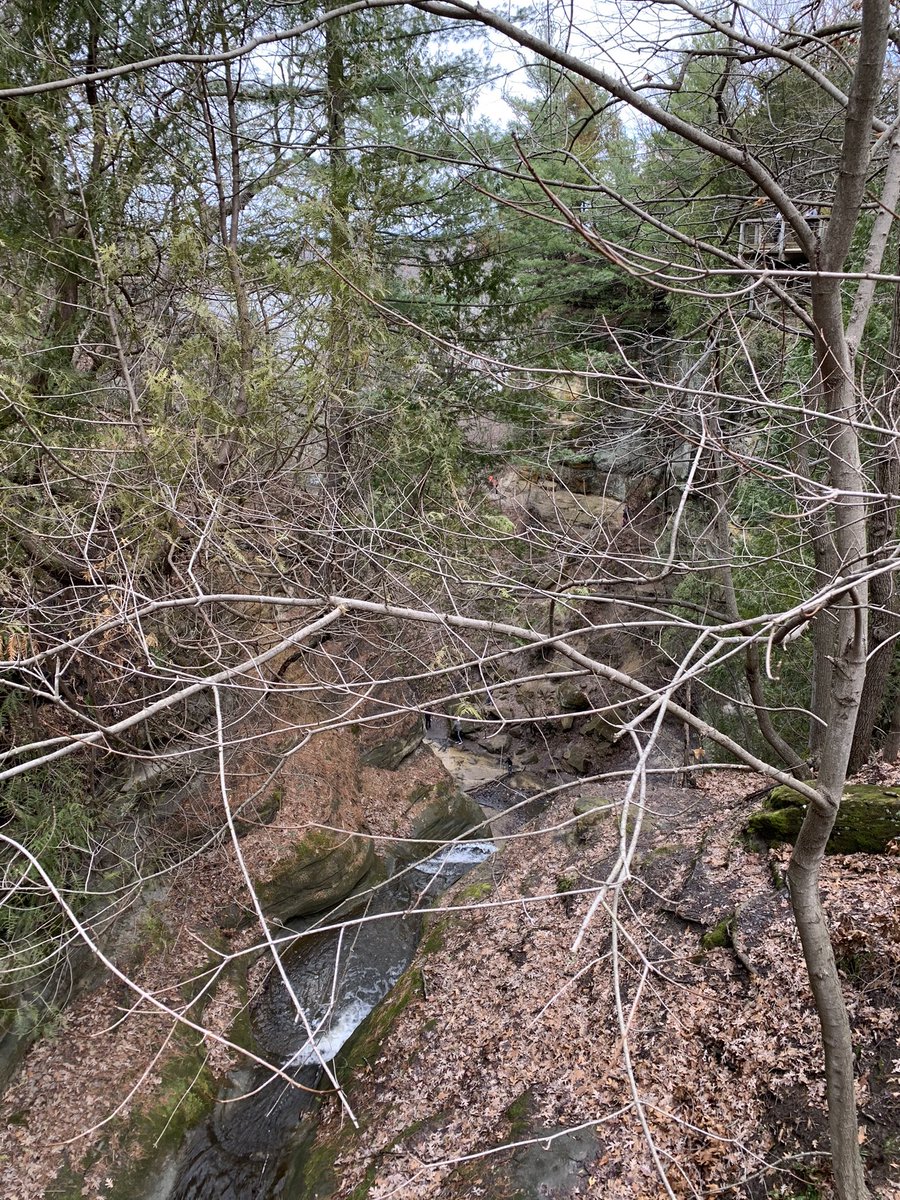 CamTraut's tweet image. Just when I think I’m getting away....they’re everywhere! 😂 Stay healthy Wildcats! 🧡🖤 @District128  #springbreakgetaway #soulrefresher