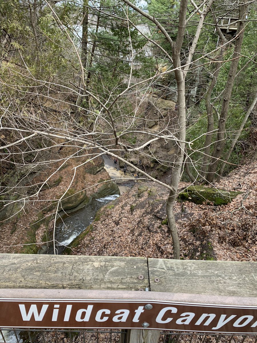 CamTraut's tweet image. Just when I think I’m getting away....they’re everywhere! 😂 Stay healthy Wildcats! 🧡🖤 @District128  #springbreakgetaway #soulrefresher