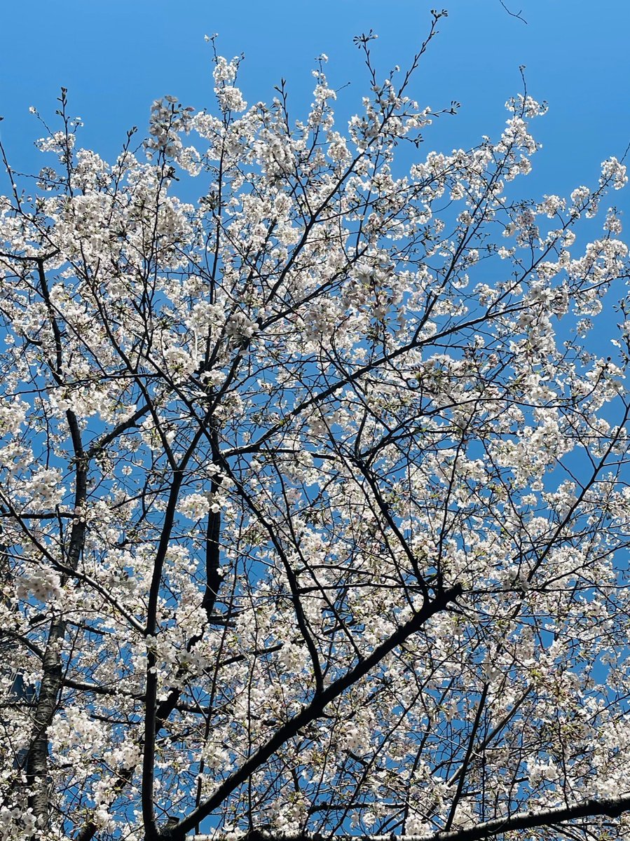 ☆青空☆ページ 青空☆さんのプロフィールページ