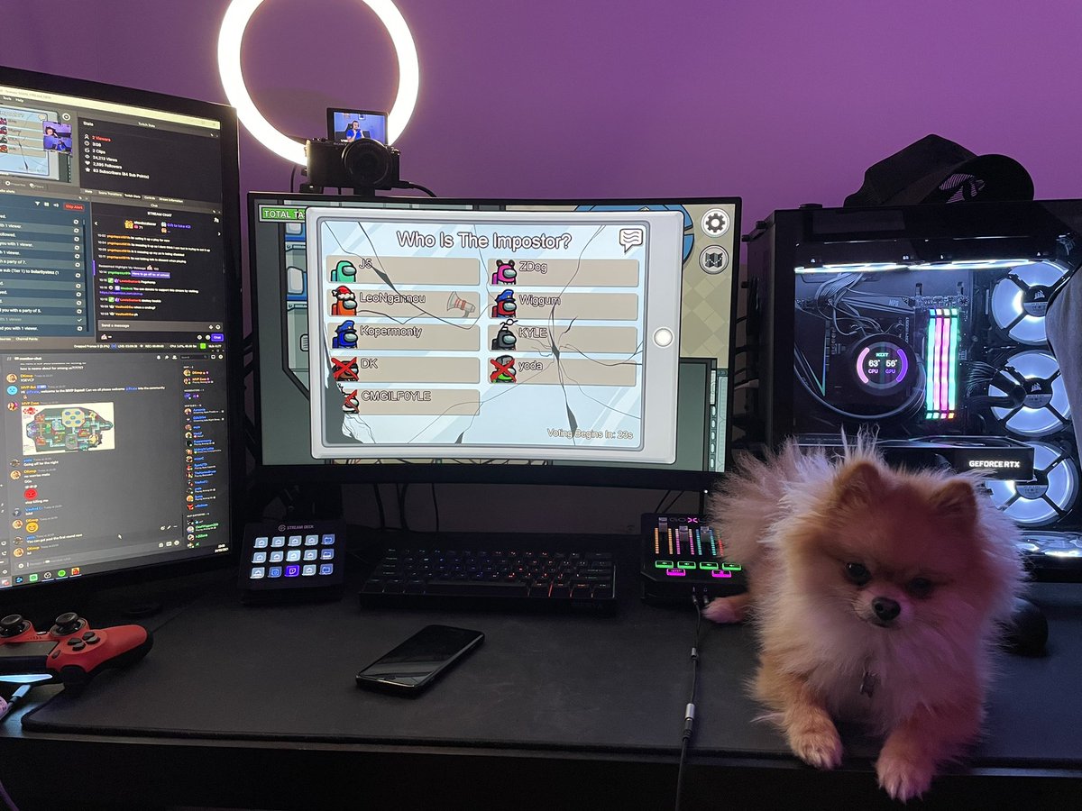 realDKmvp's tweet photo. I have the best streaming buddy 🐶 👑 https://t.co/WJsURvDIrE