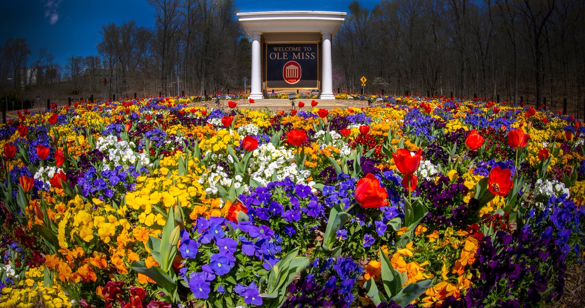 OleMissPix's tweet photo. The Ole Miss Tulip Circle.

March 24th, 2021

#ComeToTheSip https://t.co/zGYflpEho4
