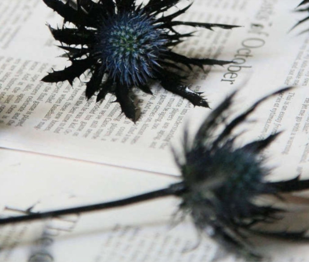 AJStiles12's tweet photo. Second novel in progress is both exciting but terrifying! I'm taking my time to do the characters justice but hope to release this year! #WritingCommunity #writing #books https://t.co/Q0Trj9LQ5E