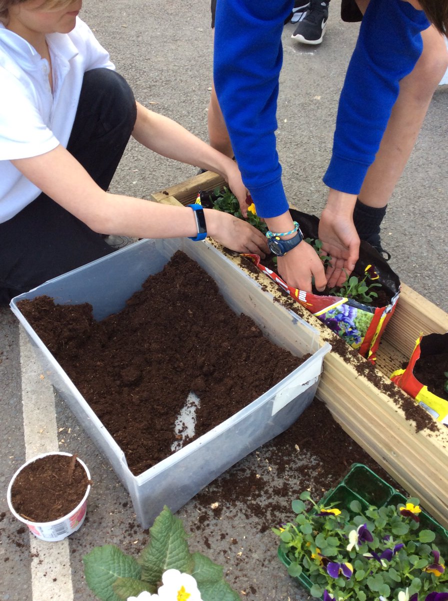 I’ve refocused m <a href="/CaenPrimary/">@CaenCommunityPrimarySchool</a>  #STEMeducation after school club on the environment. Here’s everyone getting stuck in filling the planters we made.