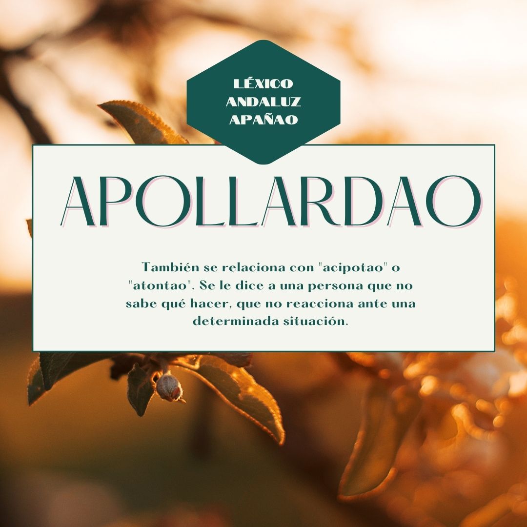 lexicoandalUS's tweet photo. https://t.co/XUdQIWEZcM