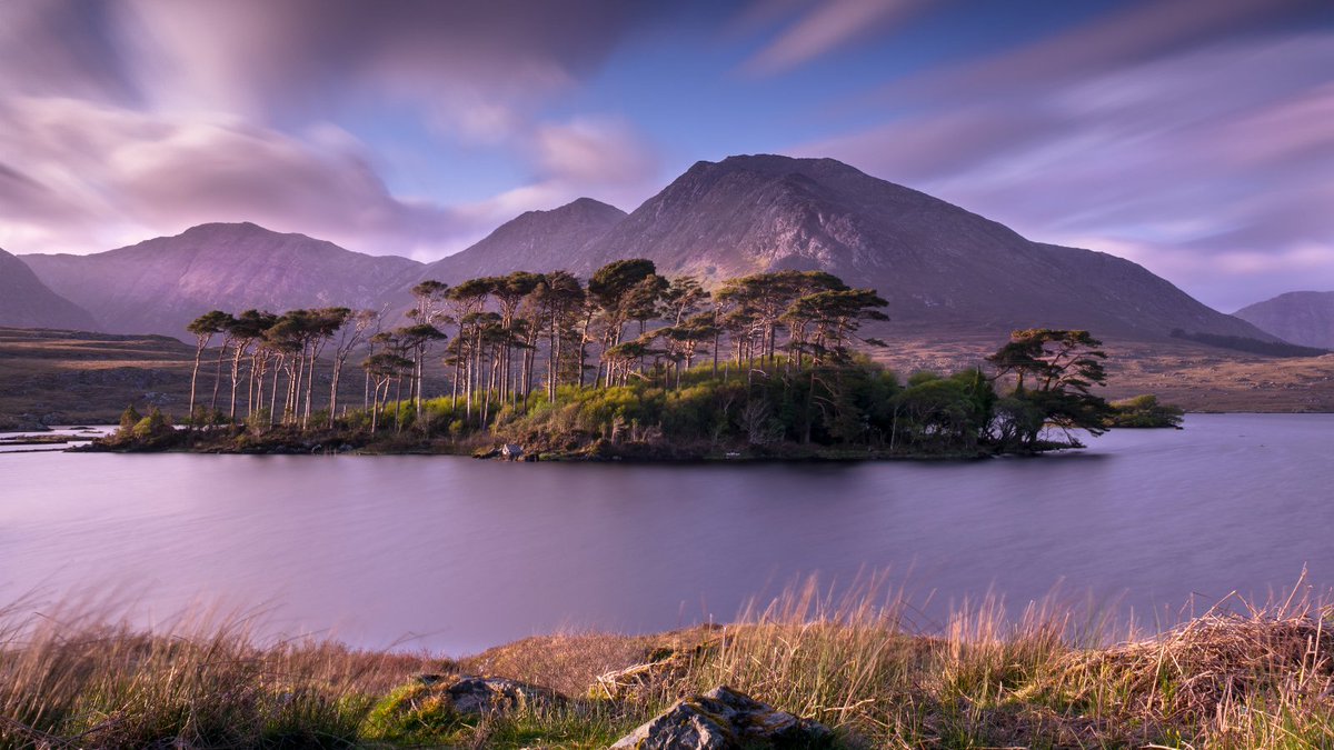 Peacockes_Hotel's tweet photo. It's not what you look at that matters, it's what you see. If you change the way you look at things, the things you look at change. 
Pine Island, one of the most photographed spots in #Connemara from a different angle. 
@AranConnemara @JCWLGeopark @Connemaraloop @Failte_Ireland https://t.co/bHhL9nPCYw