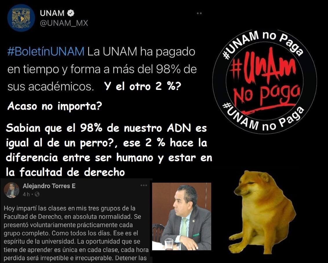 Lalechuga98's tweet photo. #EscalanteRespetaElParo 
#LaFiNoMeRespalda 
#UNAMnoPaga
#CienciasUNAMNoPaga
#UNAMnoPaga

@UNAM_MX @FIUNAM_MX https://t.co/Mt4a2ijGAU