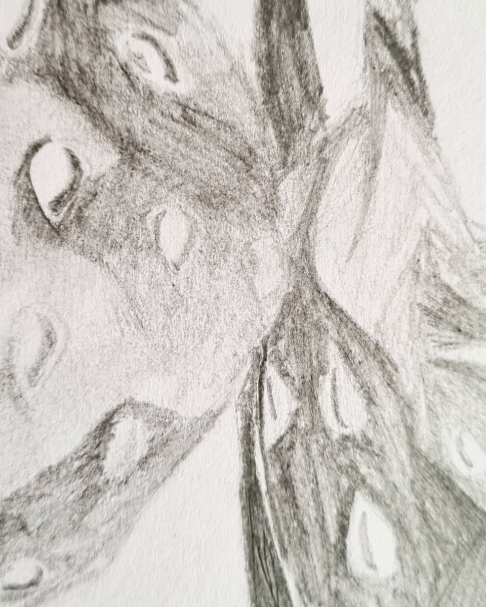 CHS South Arts tweet media