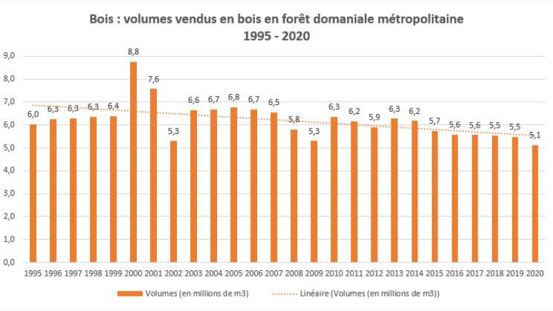 ONF_Officiel's tweet photo. Dans cette analyse, l'#ONF tord le cou aux idées reçues sur les coupes de #bois en #forêt publique. Récoltes stables en forêt domaniale depuis 1995, régénération naturelle, diversité des essences… Des informations essentielles à (re)découvrir :  https://t.co/GgA18qYDW6. https://t.co/Sn7mS3Iawr