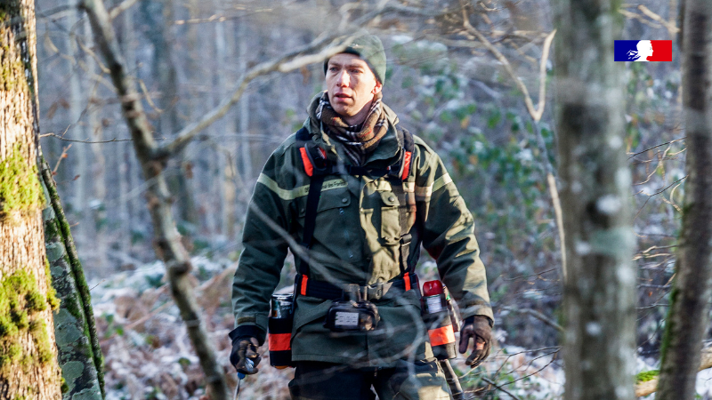 ONF_Officiel's tweet photo. Dans cette analyse, l'#ONF tord le cou aux idées reçues sur les coupes de #bois en #forêt publique. Récoltes stables en forêt domaniale depuis 1995, régénération naturelle, diversité des essences… Des informations essentielles à (re)découvrir :  https://t.co/GgA18qYDW6. https://t.co/Sn7mS3Iawr