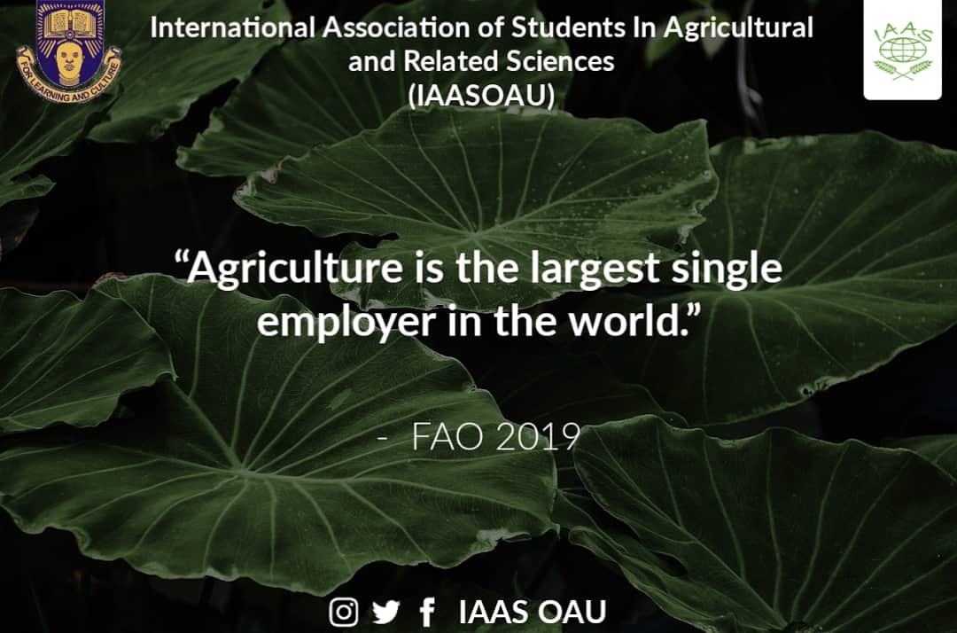 IaasOau's tweet photo. Do you know?
"Agriculture is the largest single employer in the world" - FAO 2019
#Agrofacts
#Agriculture
#IAASOAU https://t.co/kNwhf82i0y