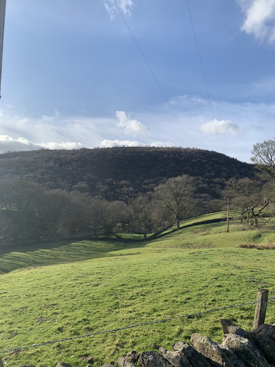 flynn_nancy's tweet image. Day 10 #2WeekChallenge a little evening dog walk, didn’t have as much time tonight so only a short one! @MeersGail @himynameisjaneg @wellbeingmatron @joannerushton3 @karenklmmoore @rachrobertson01