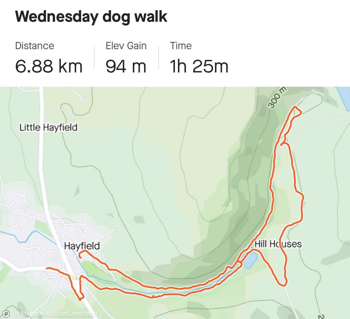 flynn_nancy's tweet image. Day 10 #2WeekChallenge a little evening dog walk, didn’t have as much time tonight so only a short one! @MeersGail @himynameisjaneg @wellbeingmatron @joannerushton3 @karenklmmoore @rachrobertson01