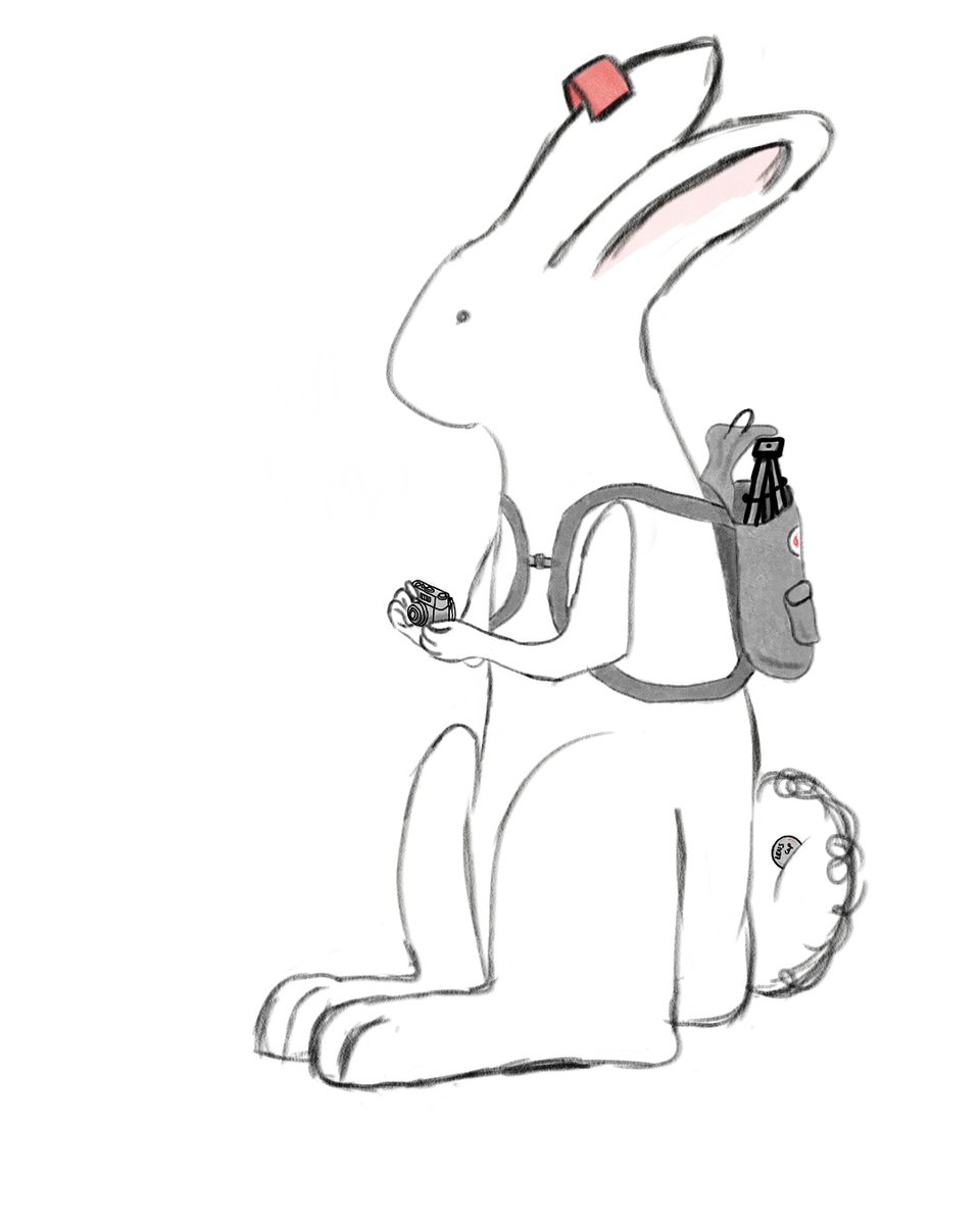 lappins1's tweet photo. Photography Lappin.
.
.
.
.
.
#bunny #bunnyrabbit #rabbit #rabbits #lapins #lappins #digitalart #sketch #drawing #doodle #doodles #art #artist #canon #nikon #photography #bestphotographer #tripod https://t.co/SM8fsotHsR