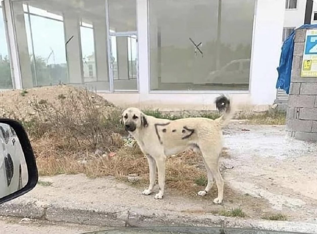 KabakPusat's tweet photo. Bu ülkenin jeopolitik konumu gerçekten küfürsüz yaşamaya müsait değil https://t.co/vKpU26CiKL