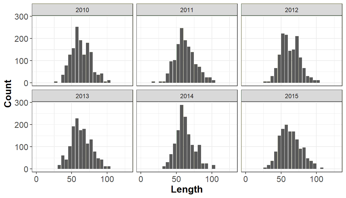 MERVEXgroup_IEO's tweet photo. LBSPR uses the size distributions to estimate the Potential Spawning Ratio (SPR)👩💻 How? Developing a length-structured per-recruit model that divides the stock into sub-cohorts ⚙️ takes into account length-dependent fishing mortality rates https://t.co/MECOeFMnPM