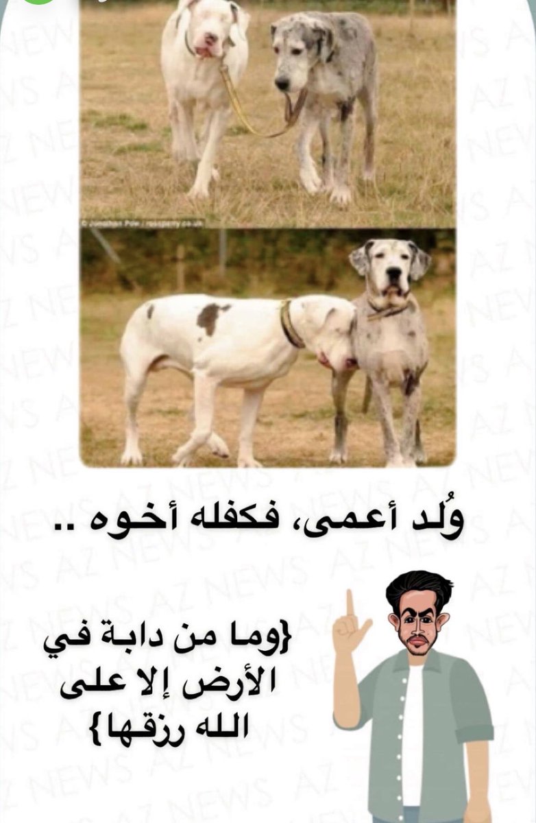 al__8lllla*لامي وابي الغلاااا (@al8llaa) on Twitter photo 