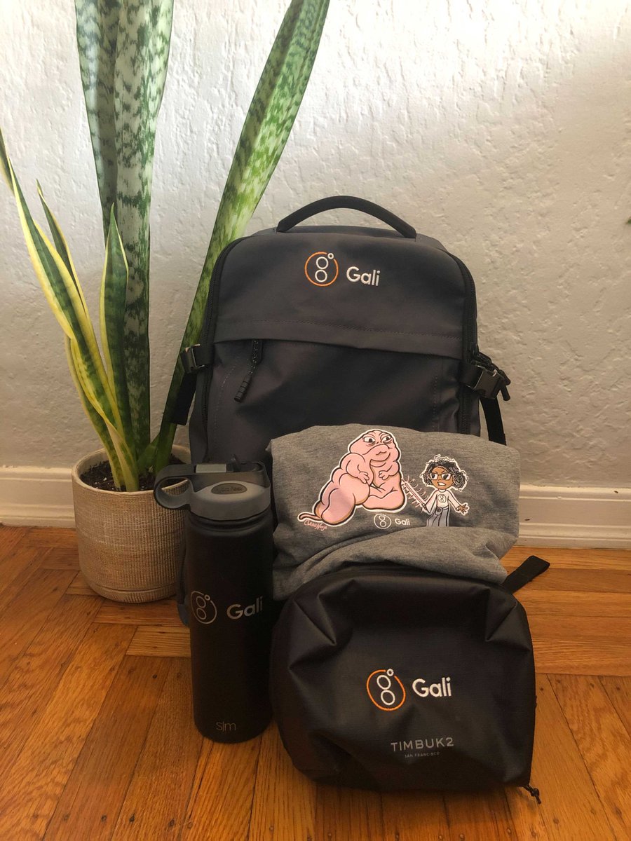 GaliHealth's tweet photo. What’s your favorite dessert? Share it in the comments to be entered into our raffle for the chance to win some sweet prizes.

You get a ticket for each recipe you submit &amp; you may just win some sweet Gali swag!

Check out the full sweepstakes rules: https://t.co/jDyUg9woyi https://t.co/SA4yTCNNnj