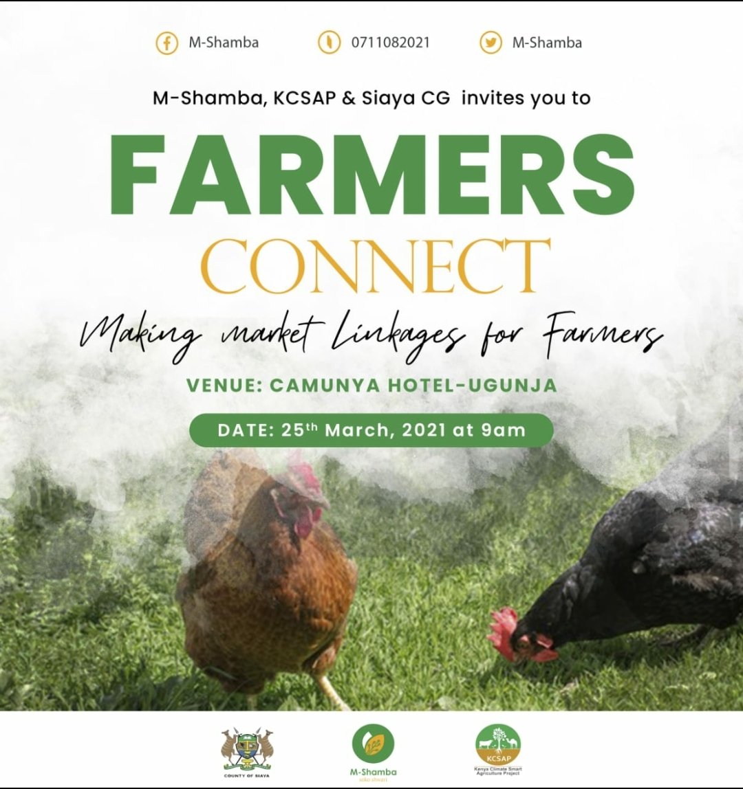 Beryl Agengo tweet media